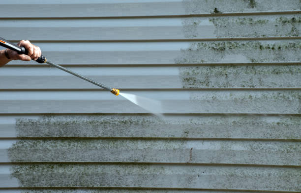 Best Fence Cleaning  in Geistown, PA